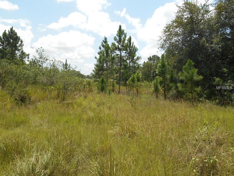 34 AMARYLLIS DRIVE S, INDIAN LAKE ESTATES, Florida 33855, ,Vacant land,For sale,AMARYLLIS,P4706533