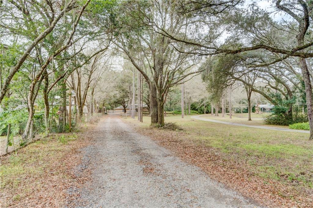 18708 30TH STREET, LUTZ, Florida 33559, 3 Bedrooms Bedrooms, 7 Rooms Rooms,2 BathroomsBathrooms,Residential,For sale,30TH,U7847185