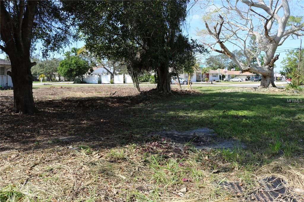 395 W BAFFIN DRIVE, VENICE, Florida 34293, ,Vacant land,For sale,BAFFIN,A4189918