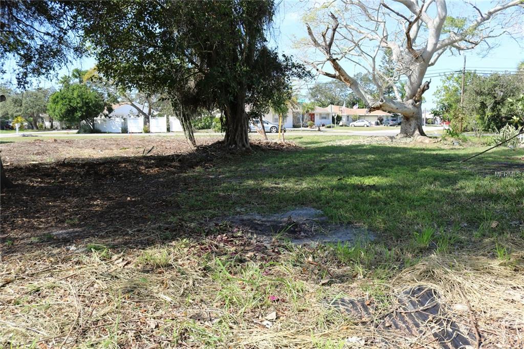 395 W BAFFIN DRIVE, VENICE, Florida 34293, ,Vacant land,For sale,BAFFIN,A4189918