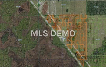 0 HWY 60 E, LAKE WALES, Florida 33898, ,Vacant land,For sale,HWY 60,P4718802