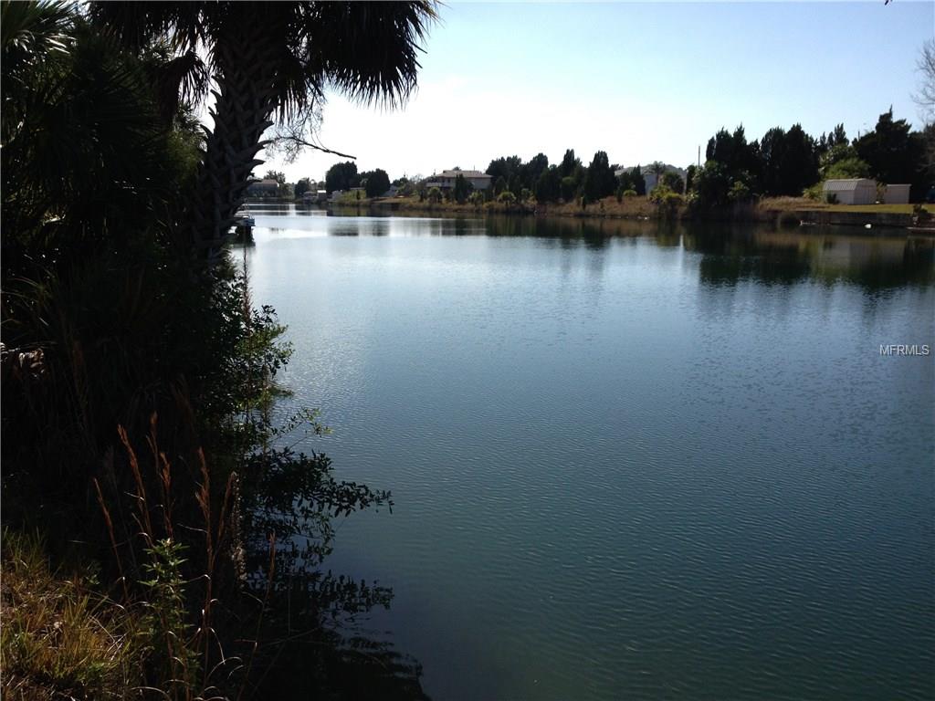 3287 SEA GRAPE DRIVE, HERNANDO BEACH, Florida 34607, ,Vacant land,For sale,SEA GRAPE,W7631310