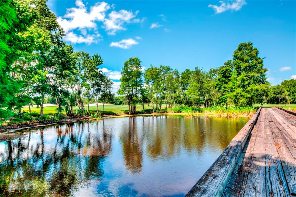 Lot E2 LIVE OAK DRIVE, TAVARES, Florida 32778, ,Vacant land,For sale,LIVE OAK,G4819449