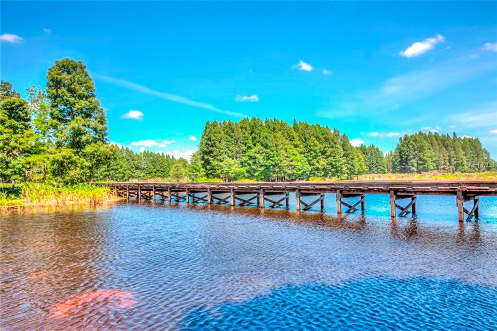 Lot E2 LIVE OAK DRIVE, TAVARES, Florida 32778, ,Vacant land,For sale,LIVE OAK,G4819449