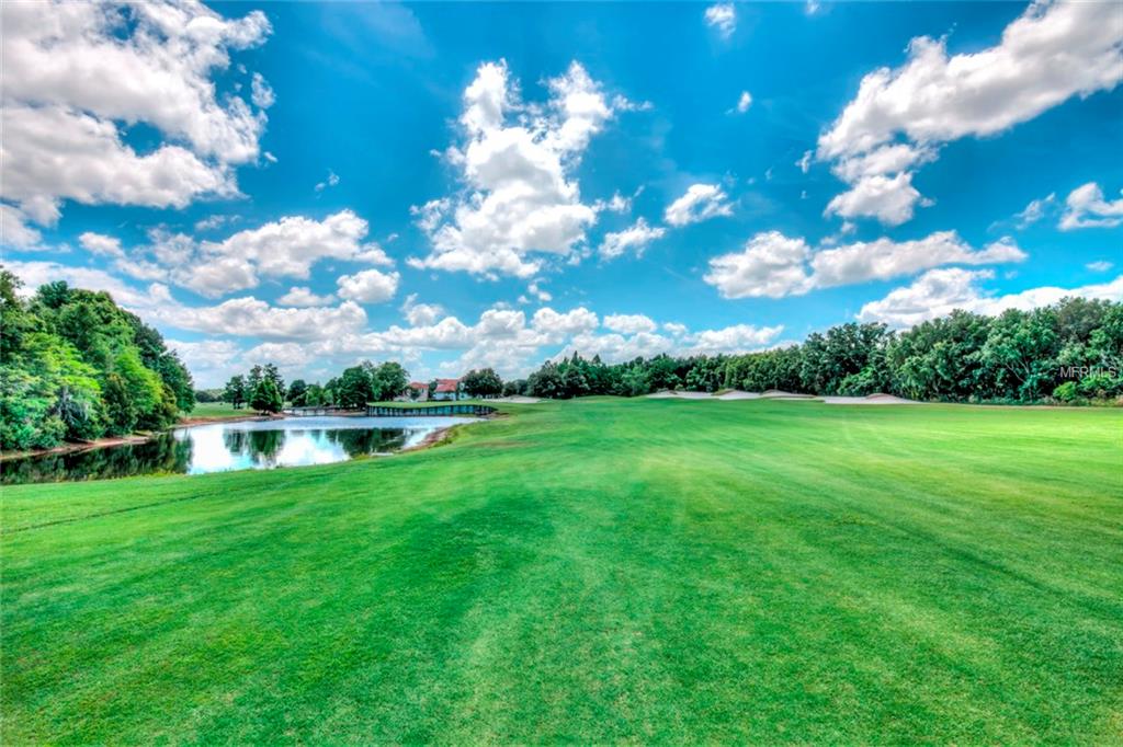 Lot E2 LIVE OAK DRIVE, TAVARES, Florida 32778, ,Vacant land,For sale,LIVE OAK,G4819449