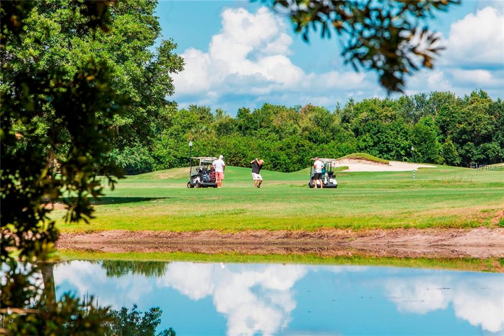 Lot E2 LIVE OAK DRIVE, TAVARES, Florida 32778, ,Vacant land,For sale,LIVE OAK,G4819449