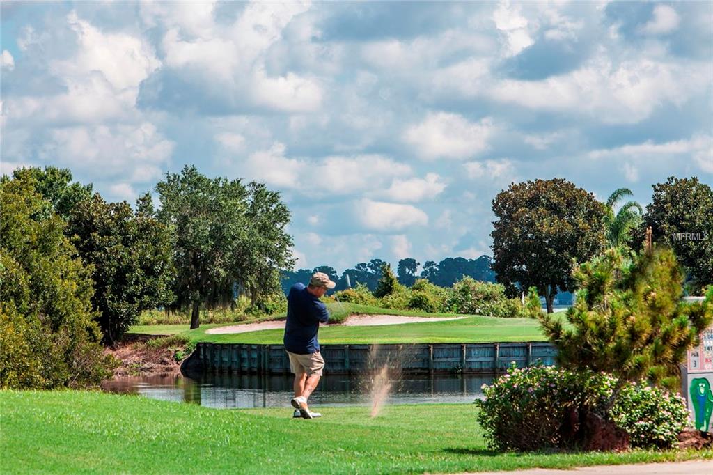 Lot E2 LIVE OAK DRIVE, TAVARES, Florida 32778, ,Vacant land,For sale,LIVE OAK,G4819449