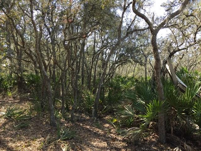 2801 INDIAN PIPES TRAIL, FROSTPROOF, Florida 33843, ,Vacant land,For sale,INDIAN PIPES,P4718827