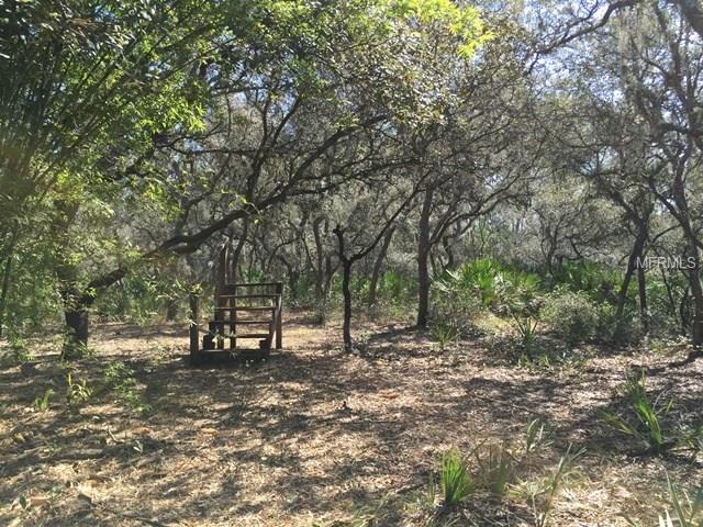 2801 INDIAN PIPES TRAIL, FROSTPROOF, Florida 33843, ,Vacant land,For sale,INDIAN PIPES,P4718827