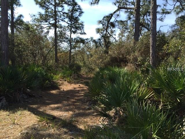 2801 INDIAN PIPES TRAIL, FROSTPROOF, Florida 33843, ,Vacant land,For sale,INDIAN PIPES,P4718827
