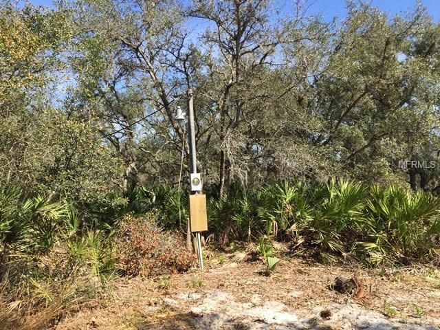 2801 INDIAN PIPES TRAIL, FROSTPROOF, Florida 33843, ,Vacant land,For sale,INDIAN PIPES,P4718827