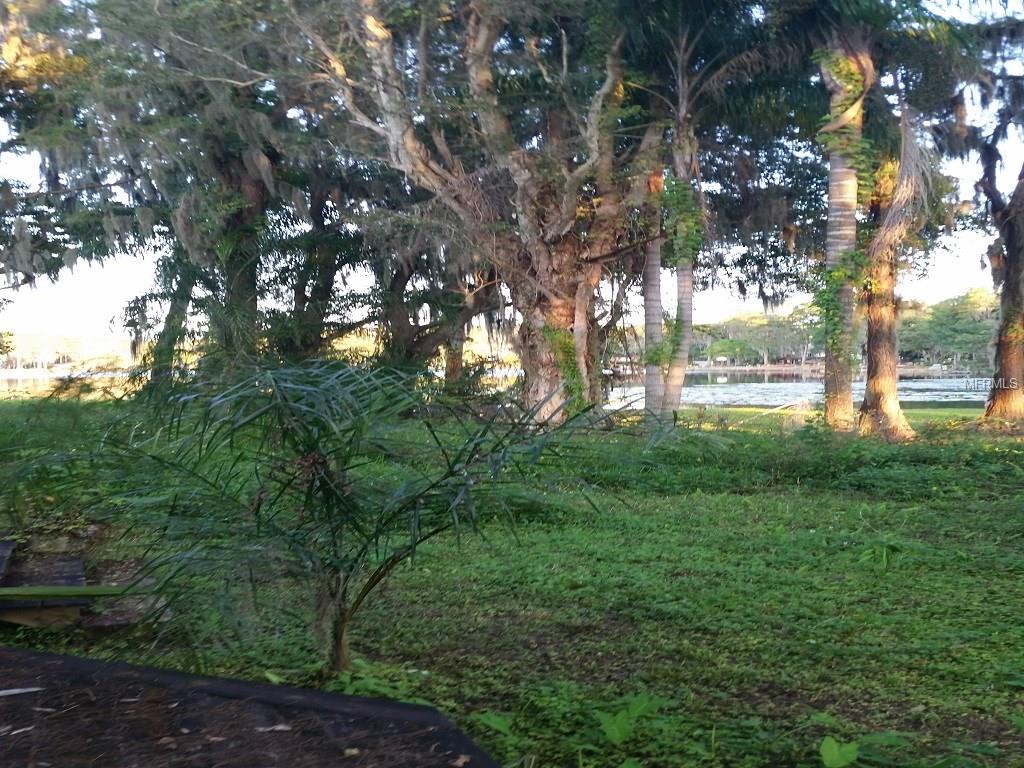 LUTZ, Florida 33558, ,Vacant land,For sale,T2787021