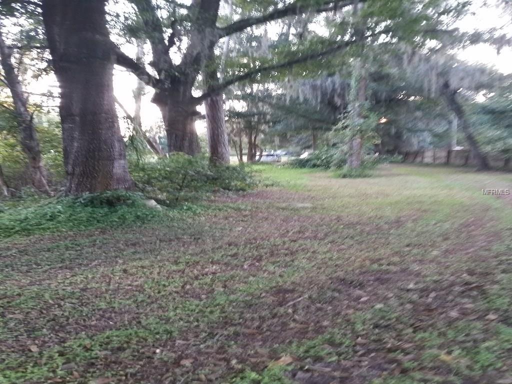 LUTZ, Florida 33558, ,Vacant land,For sale,T2787021