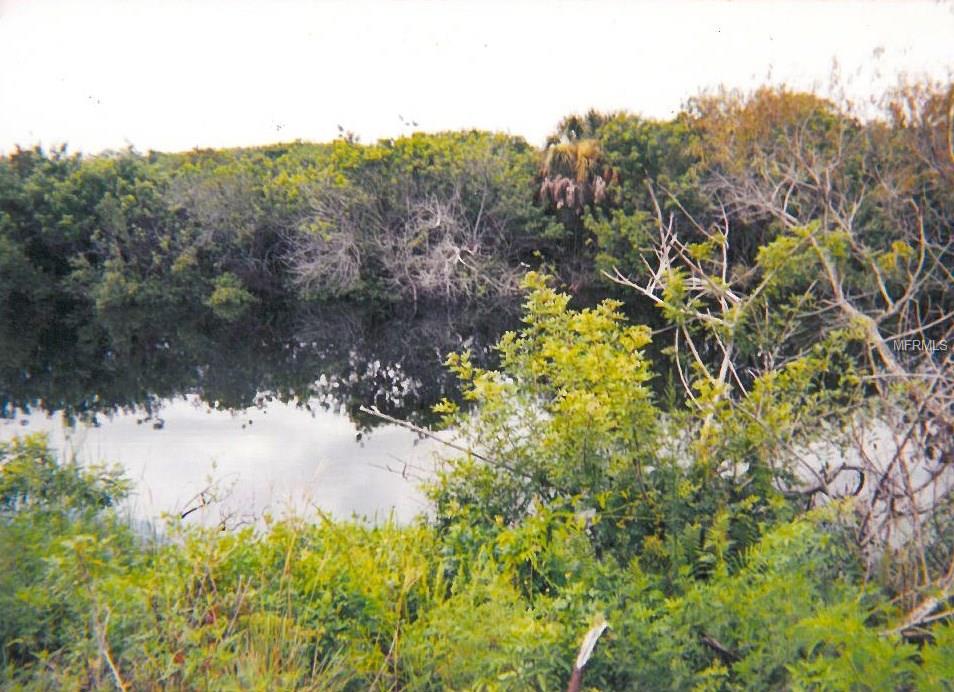 13025 FORESMAN BOULEVARD, PORT CHARLOTTE, Florida 33981, ,Vacant land,For sale,FORESMAN,N5905989