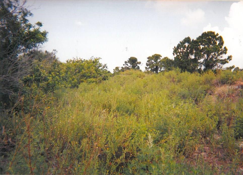 13025 FORESMAN BOULEVARD, PORT CHARLOTTE, Florida 33981, ,Vacant land,For sale,FORESMAN,N5905989