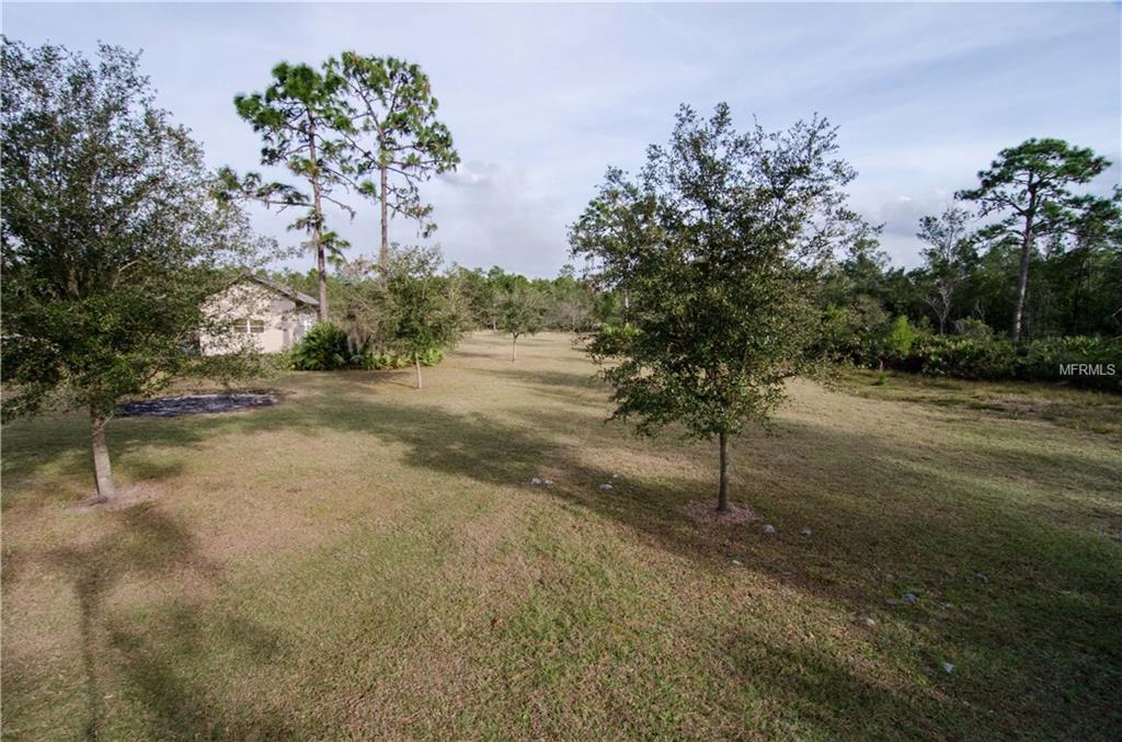 4807 BROWN ROAD, CHRISTMAS, Florida 32709, 1 Bedroom Bedrooms, 4 Rooms Rooms,1 BathroomBathrooms,Residential,For sale,BROWN,O5561457