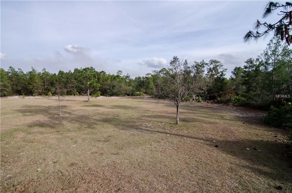 4807 BROWN ROAD, CHRISTMAS, Florida 32709, 1 Bedroom Bedrooms, 4 Rooms Rooms,1 BathroomBathrooms,Residential,For sale,BROWN,O5561457