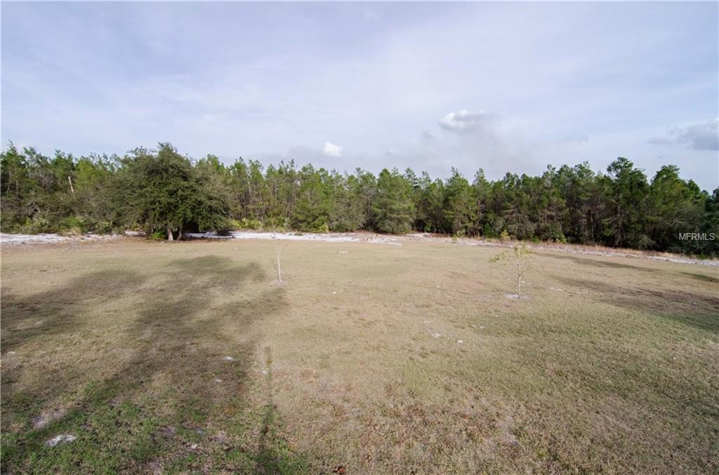 4807 BROWN ROAD, CHRISTMAS, Florida 32709, 1 Bedroom Bedrooms, 4 Rooms Rooms,1 BathroomBathrooms,Residential,For sale,BROWN,O5561457