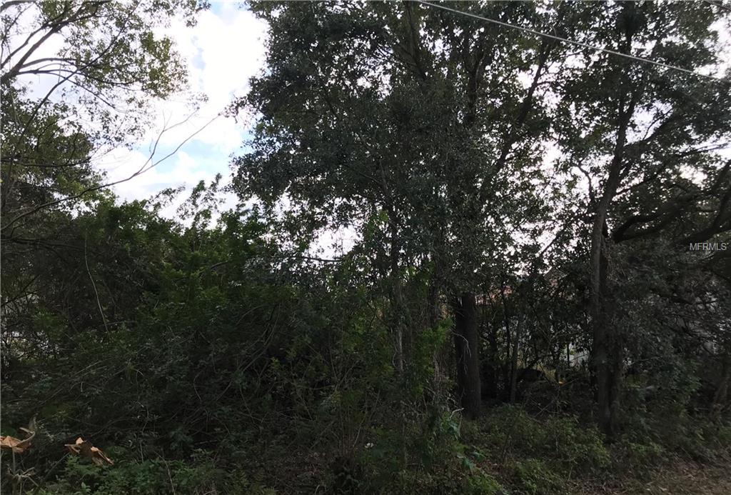 14718 MICAH STREET, WINTER GARDEN, Florida 34787, ,Vacant land,For sale,MICAH,O5558847
