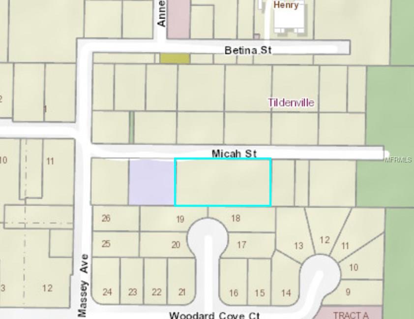14718 MICAH STREET, WINTER GARDEN, Florida 34787, ,Vacant land,For sale,MICAH,O5558847