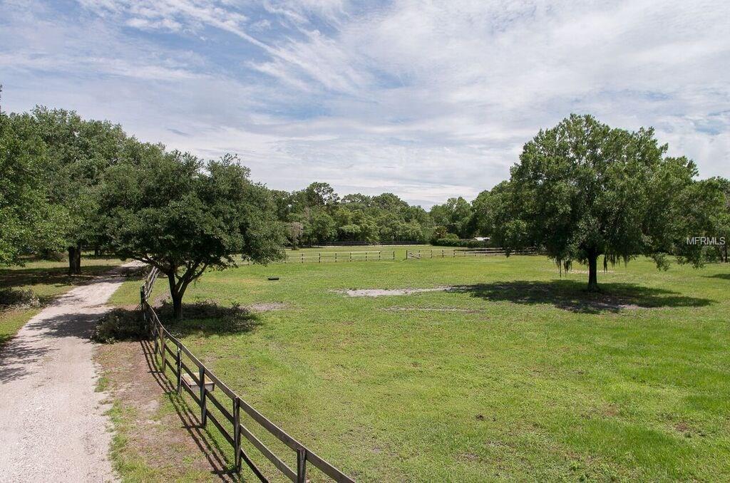 18002 MCKINNON ROAD, ODESSA, Florida 33556, ,Vacant land,For sale,MCKINNON,T2794000