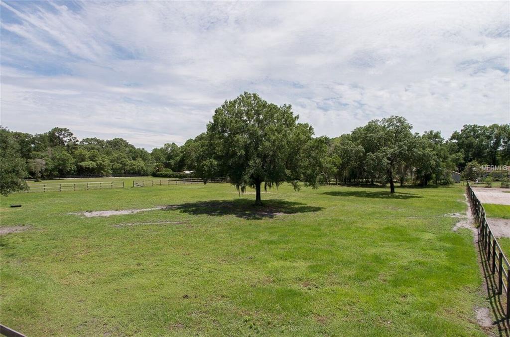 18002 MCKINNON ROAD, ODESSA, Florida 33556, ,Vacant land,For sale,MCKINNON,T2794000