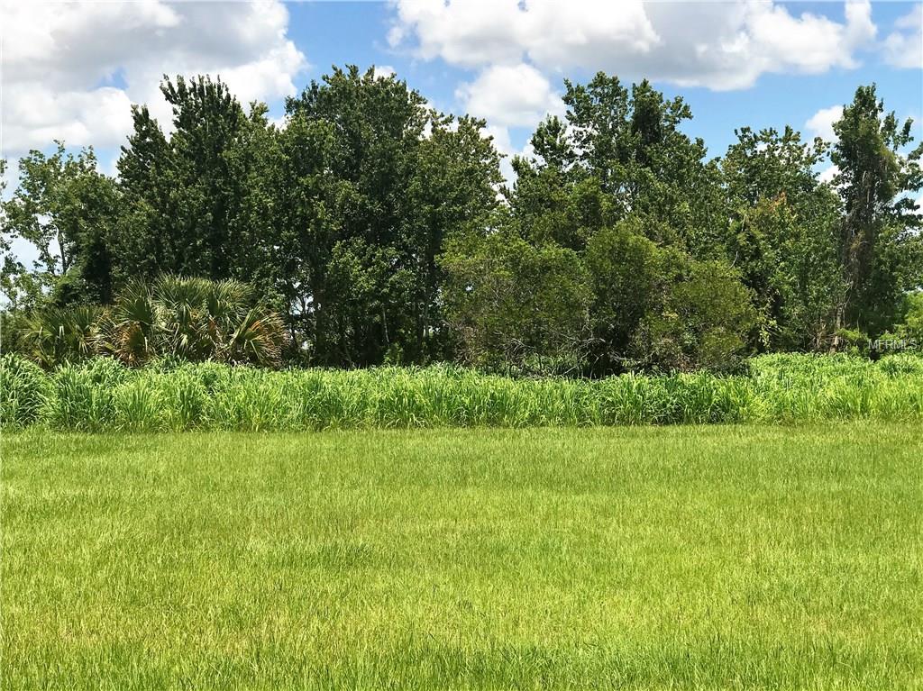 Lot H2 ISLAND CLUB DRIVE, DEER ISLAND, Florida 32778, ,Vacant land,For sale,ISLAND CLUB,G4844772