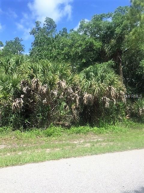 179 BISHOP STREET, PORT CHARLOTTE, Florida 33954, ,Vacant land,For sale,BISHOP,C7241373