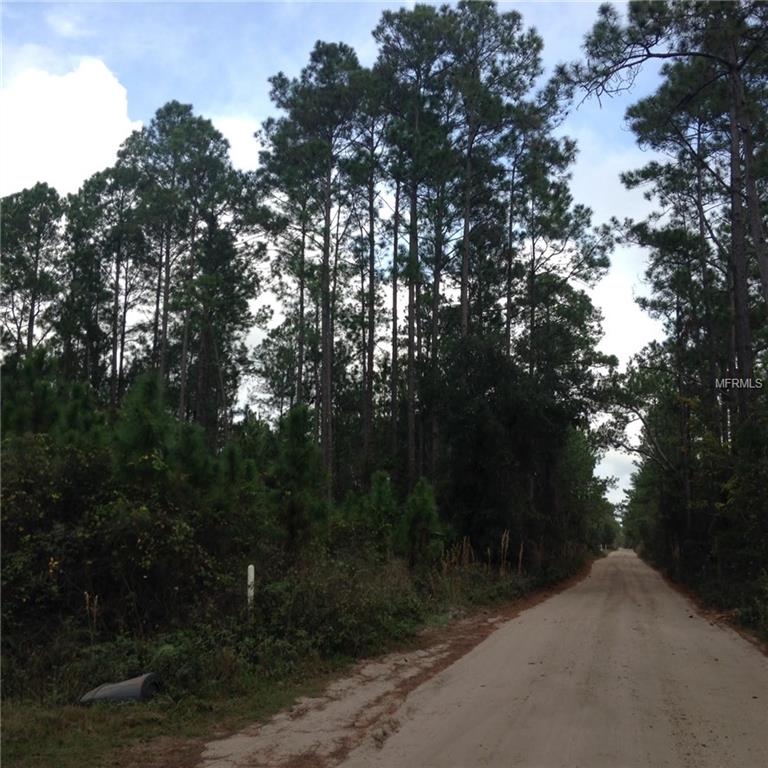 442 RANCHETTE ROAD, NEW SMYRNA BEACH, Florida 32168, ,Vacant land,For sale,RANCHETTE,O5415593