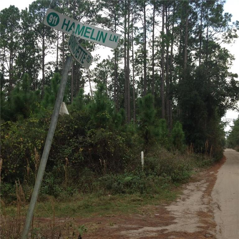 442 RANCHETTE ROAD, NEW SMYRNA BEACH, Florida 32168, ,Vacant land,For sale,RANCHETTE,O5415593