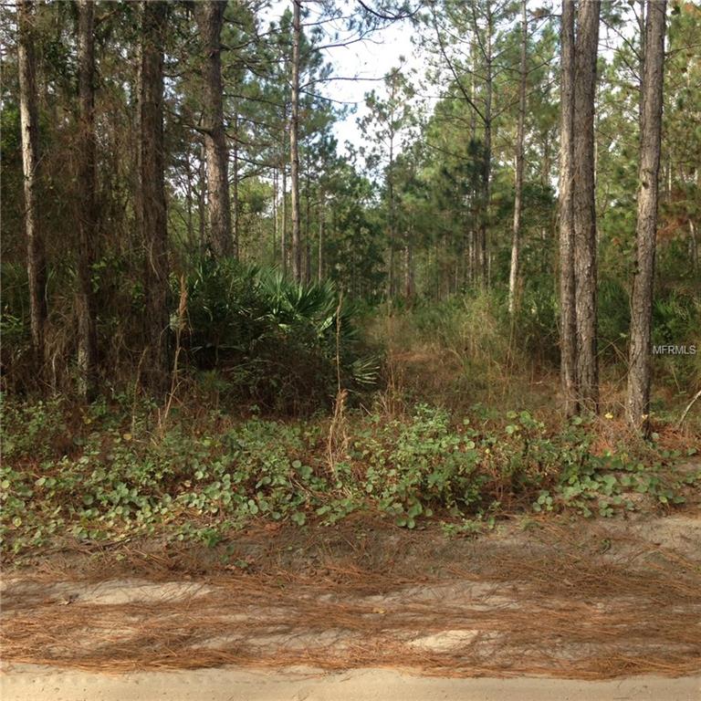 442 RANCHETTE ROAD, NEW SMYRNA BEACH, Florida 32168, ,Vacant land,For sale,RANCHETTE,O5415593