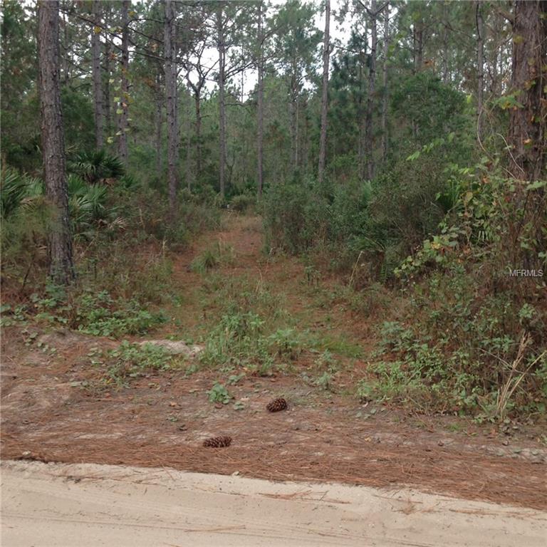 442 RANCHETTE ROAD, NEW SMYRNA BEACH, Florida 32168, ,Vacant land,For sale,RANCHETTE,O5415593