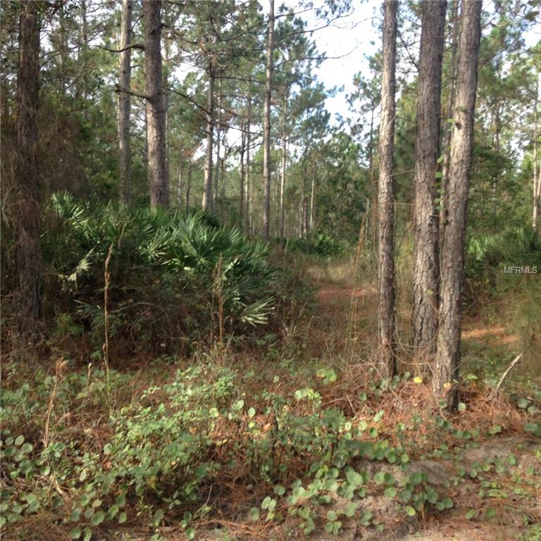 442 RANCHETTE ROAD, NEW SMYRNA BEACH, Florida 32168, ,Vacant land,For sale,RANCHETTE,O5415593