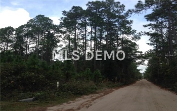 442 RANCHETTE ROAD, NEW SMYRNA BEACH, Florida 32168, ,Vacant land,For sale,RANCHETTE,O5415593