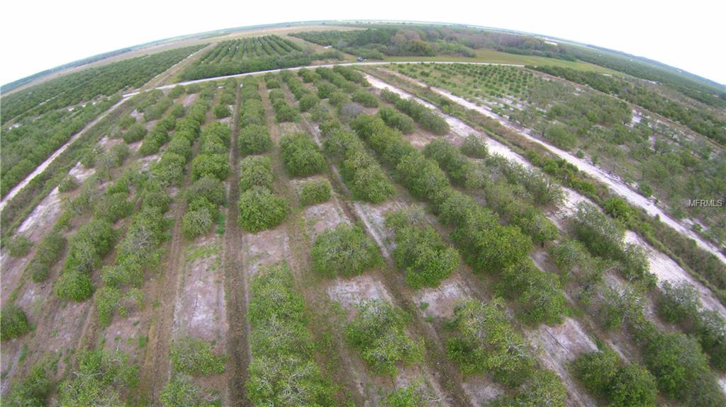 44670 NEAL ROAD, PUNTA GORDA, Florida 33982, ,Vacant land,For sale,NEAL,C7221080