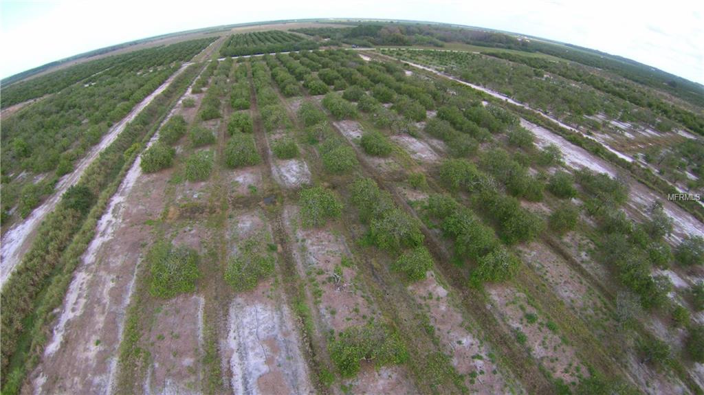44670 NEAL ROAD, PUNTA GORDA, Florida 33982, ,Vacant land,For sale,NEAL,C7221080