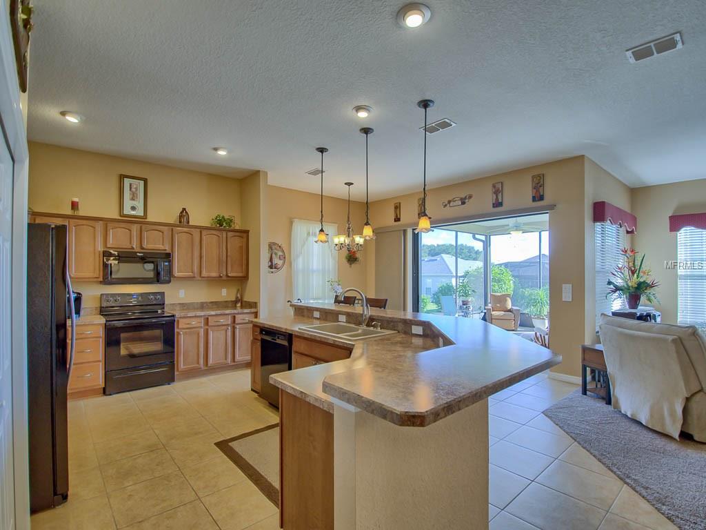 16896 SE 110TH COURT ROAD, SUMMERFIELD, Florida 34491, 3 Bedrooms Bedrooms, 9 Rooms Rooms,2 BathroomsBathrooms,Residential,For sale,110TH COURT,G4846413