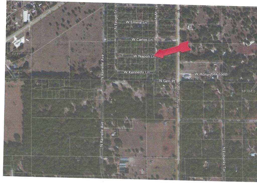 8122 W NAPOLI LANE CRYSTAL RIVER, Florida 34428, ,Vacant land,For sale,NAPOLI,G4845174