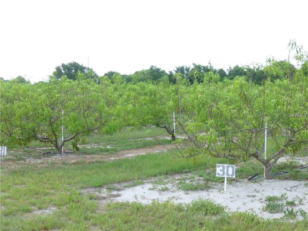 MASTERPIECE ROAD, LAKE WALES, Florida 33898, ,Vacant land,For sale,MASTERPIECE,P4716526