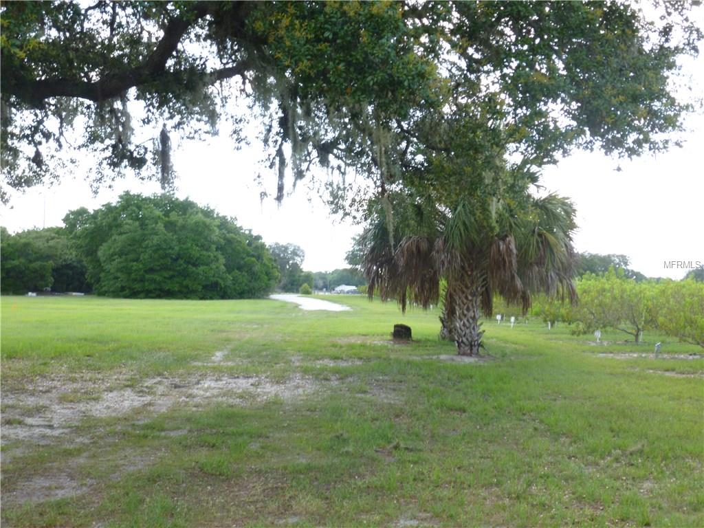 MASTERPIECE ROAD, LAKE WALES, Florida 33898, ,Vacant land,For sale,MASTERPIECE,P4716526