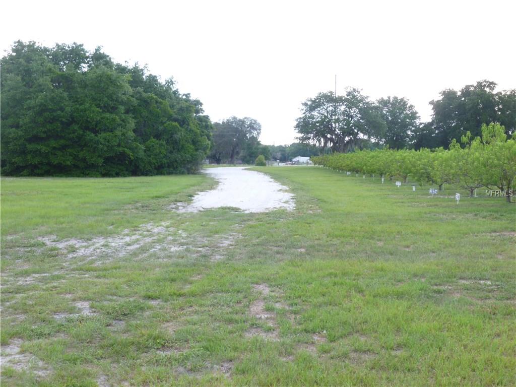 MASTERPIECE ROAD, LAKE WALES, Florida 33898, ,Vacant land,For sale,MASTERPIECE,P4716526