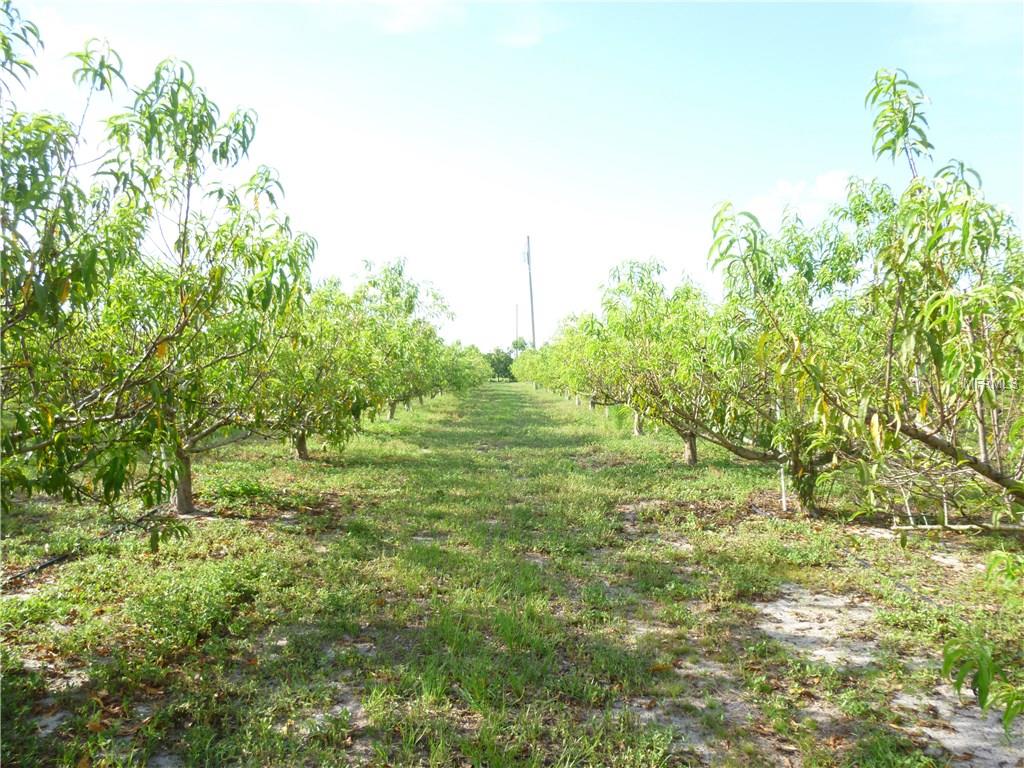 MASTERPIECE ROAD, LAKE WALES, Florida 33898, ,Vacant land,For sale,MASTERPIECE,P4716526