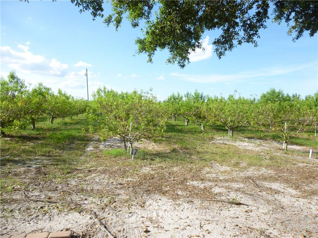 MASTERPIECE ROAD, LAKE WALES, Florida 33898, ,Vacant land,For sale,MASTERPIECE,P4716526