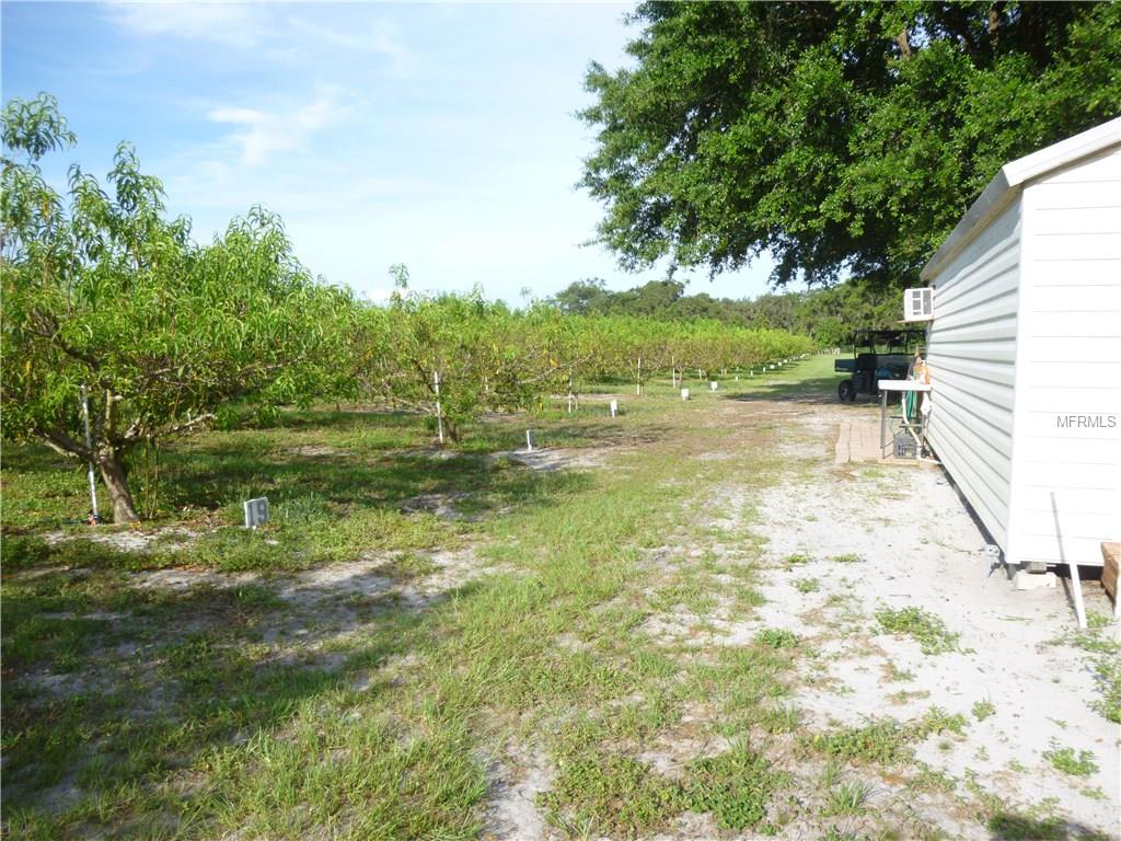 MASTERPIECE ROAD, LAKE WALES, Florida 33898, ,Vacant land,For sale,MASTERPIECE,P4716526