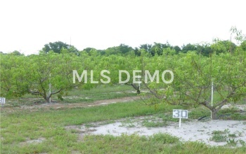 MASTERPIECE ROAD, LAKE WALES, Florida 33898, ,Vacant land,For sale,MASTERPIECE,P4716526