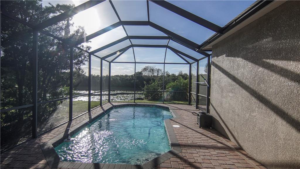 3004 SILVERMILL LOOP, LAND O LAKES, Florida 34638, 4 Bedrooms Bedrooms, ,2 BathroomsBathrooms,Rental,For Rent,SILVERMILL,T2927679