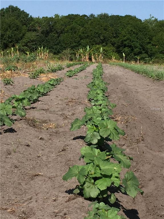 711 S 1ST AVENUE, WAUCHULA, Florida 33873, ,Vacant land,For sale,1ST,U7846305