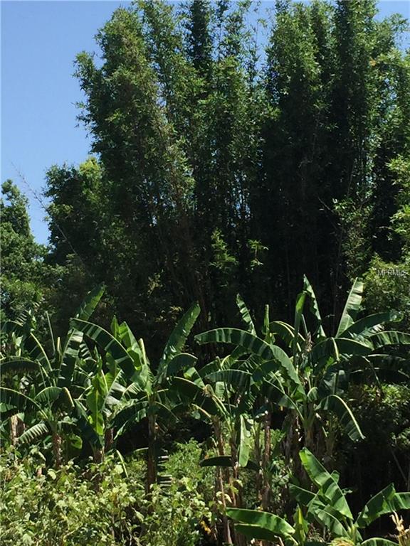 711 S 1ST AVENUE, WAUCHULA, Florida 33873, ,Vacant land,For sale,1ST,U7846305