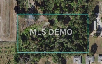 711 S 1ST AVENUE, WAUCHULA, Florida 33873, ,Vacant land,For sale,1ST,U7846305