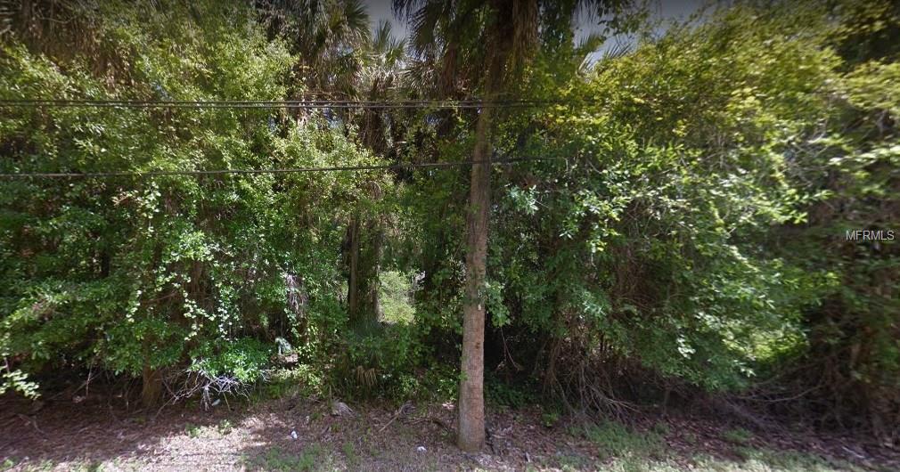 INGHAM ROAD, NEW SMYRNA BEACH, Florida 32168, ,Vacant land,For sale,INGHAM,A4208791